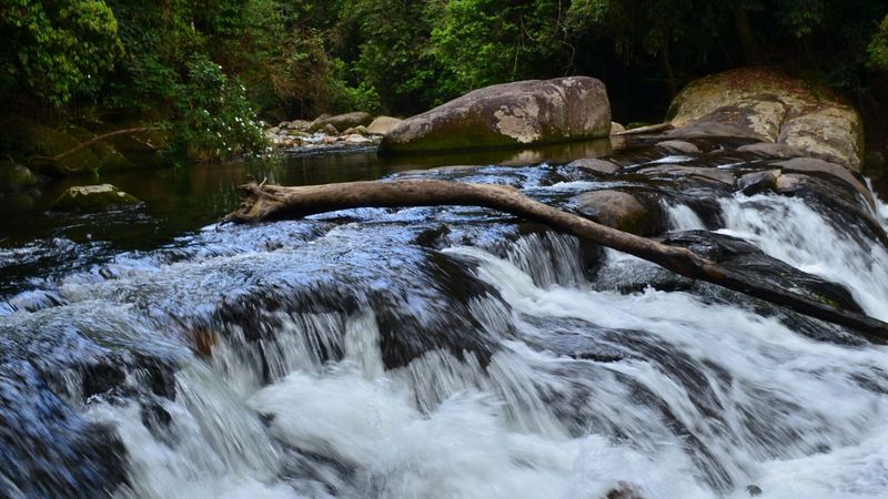 Cachoeira entre pedras e mata fechada em uma das trilhas do Quilombo da Fazenda, em Ubatuba