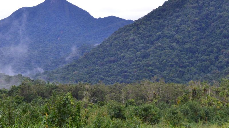Montanhas cobertas de Mata Atlântica na Serra do Mar, vistas do Quilombo da Fazenda