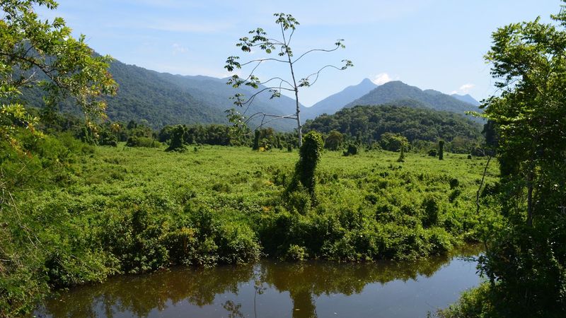 Campo, lago e montanhas da Serra do Mar no Quilombo da Fazenda, em Picinguaba, Ubatuba