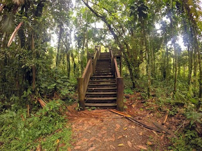 Trilhas e paisagens do Quilombo da Fazenda – foto 5 de 11