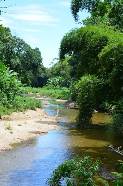 Trilhas e paisagens do Quilombo da Fazenda – foto 7 de 11