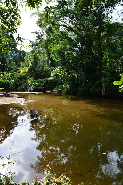 Trilhas e paisagens do Quilombo da Fazenda – foto 10 de 11